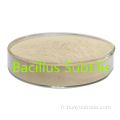 Bacillus subtilis Eau soluble 600cfu / g pour l'additif d'alimentation